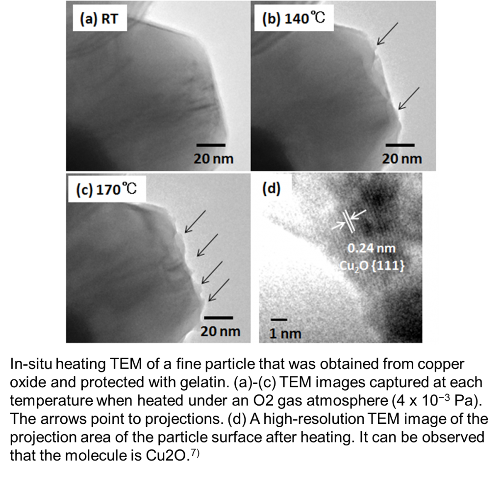 fig-19_en