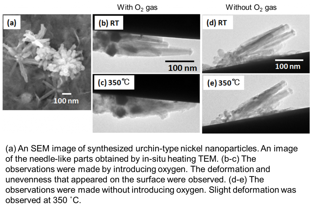 fig-20_en