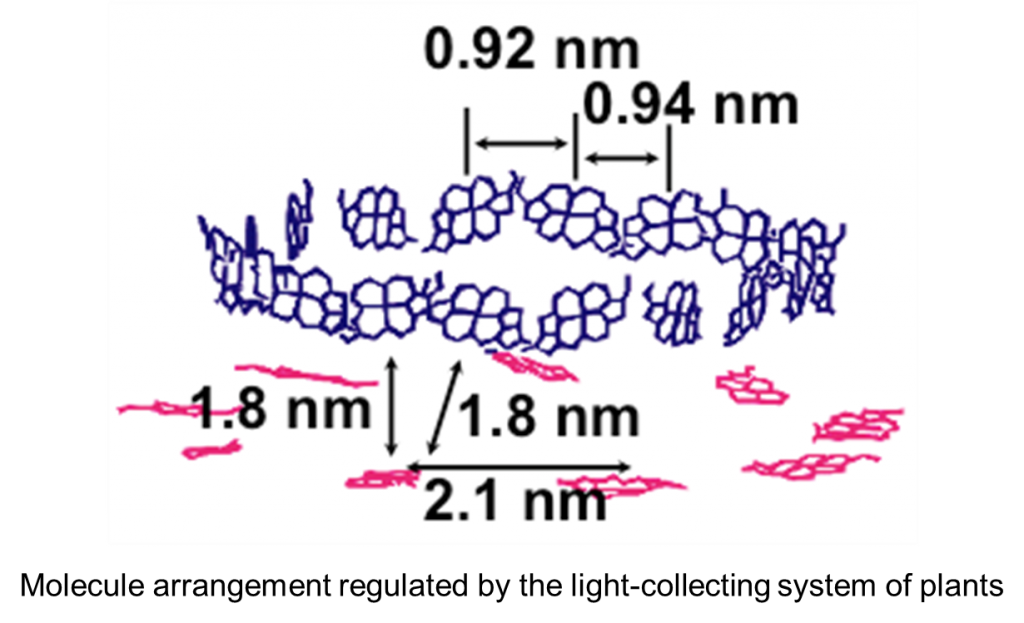 fig-23_en