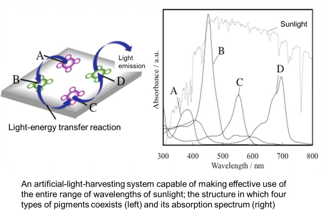 fig-25_en