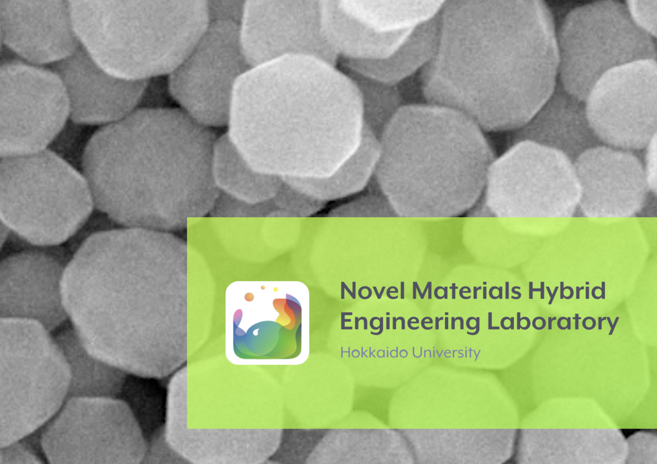 Novel Materials Hybrid Engineering Laboratory, Hokkaido University
